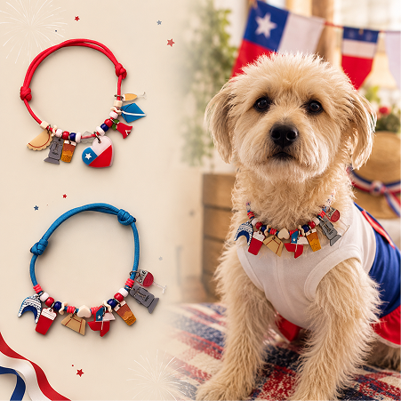 Crea tu propio collar Dieciochero